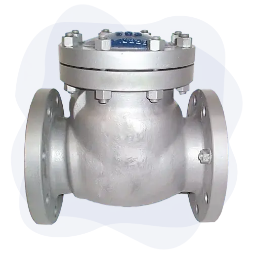 check valves manufacture in ahmedabad